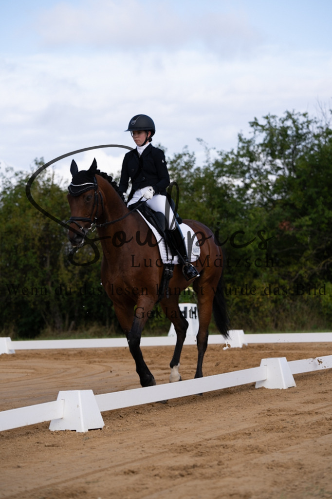 A7V05115 | Pferdefotograf