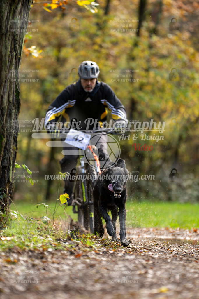 MompixPhotography_Bischwiller23_Bike-21 | PayLife
