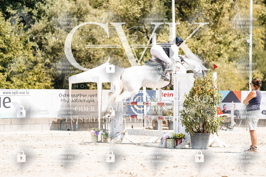 CK900728 | Turnierfotografie Pferdefotografie Trier Rheinland-Pfalz Pferdesport Reitsport Tierfotografie Sportfotografie Pferdevideo Pferdevideografie Equestrianvideography equestrianphotography  - Realisiert mit Pictrs.com