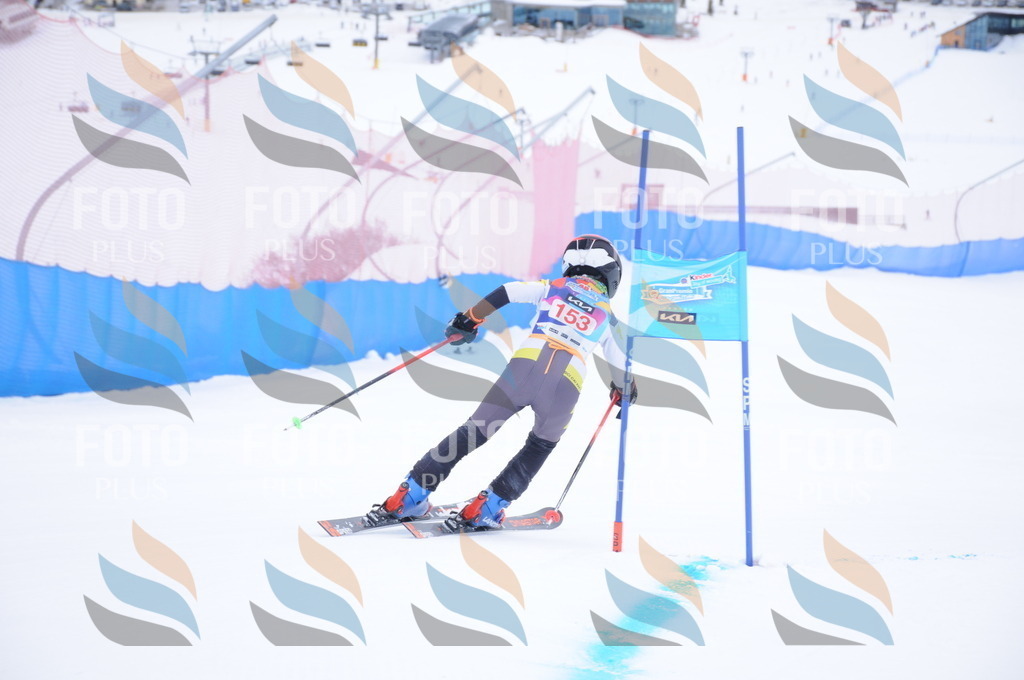 DSC_8775 | holidayphoto