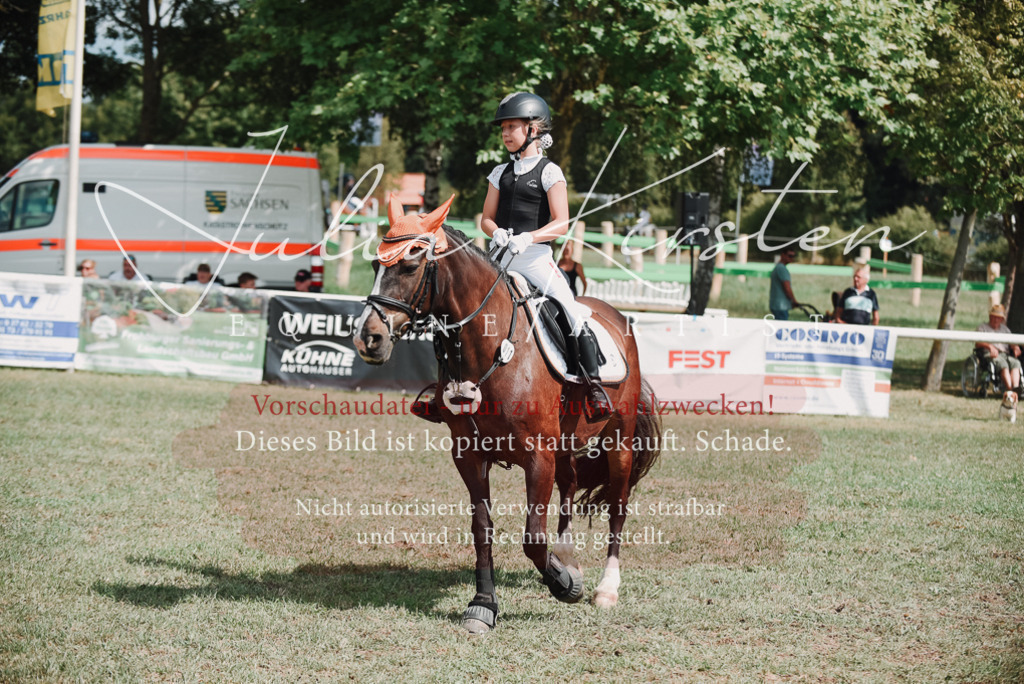 DSC_5674 | Pferde- und Turnierfotografie in Westsachsen. Pferdeportraits, Auftragszeichnungen und intuitive Kunst.