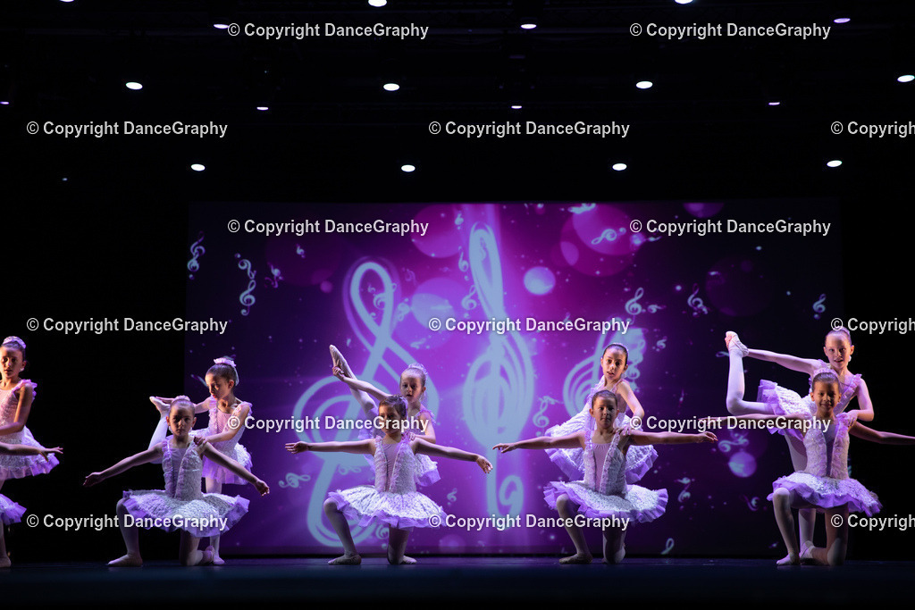 GPHY4835 | DanceGraphy - Realisiert mit Pictrs.com