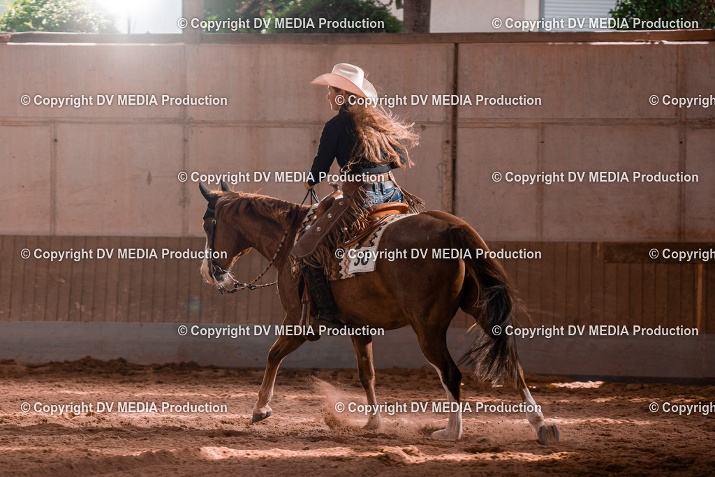 NE100844 | dv-media-shop - Realisiert mit Pictrs.com