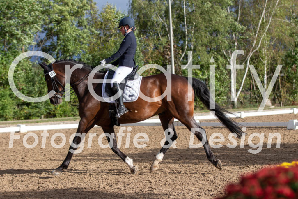 IMG_6069 | Creatify Fotografie