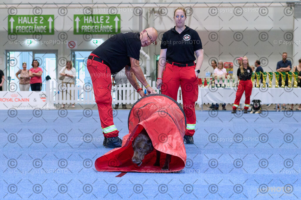 202406_ÖKV-IHA-Tulln24_DSC_3458 | proPHOTO - Realisiert mit Pictrs.com