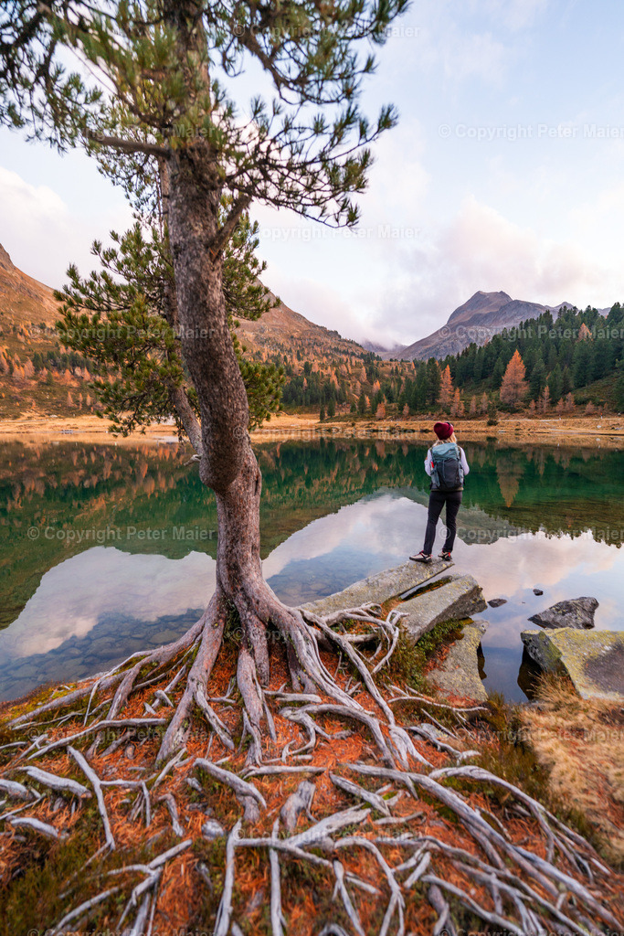 Defereggental_Herbst_Oktober_2024-489 | piet_flosse