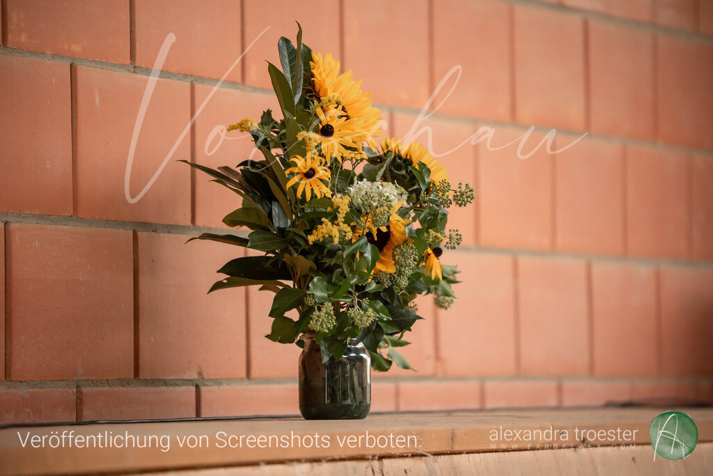 250912_Barop_06_082 | farbklaex.com