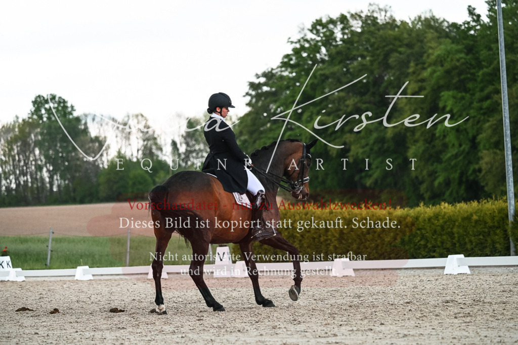 20230514_JK-Röhrsdorf-21-534 | Pferde- und Turnierfotografie in Westsachsen. Pferdeportraits, Auftragszeichnungen und intuitive Kunst.