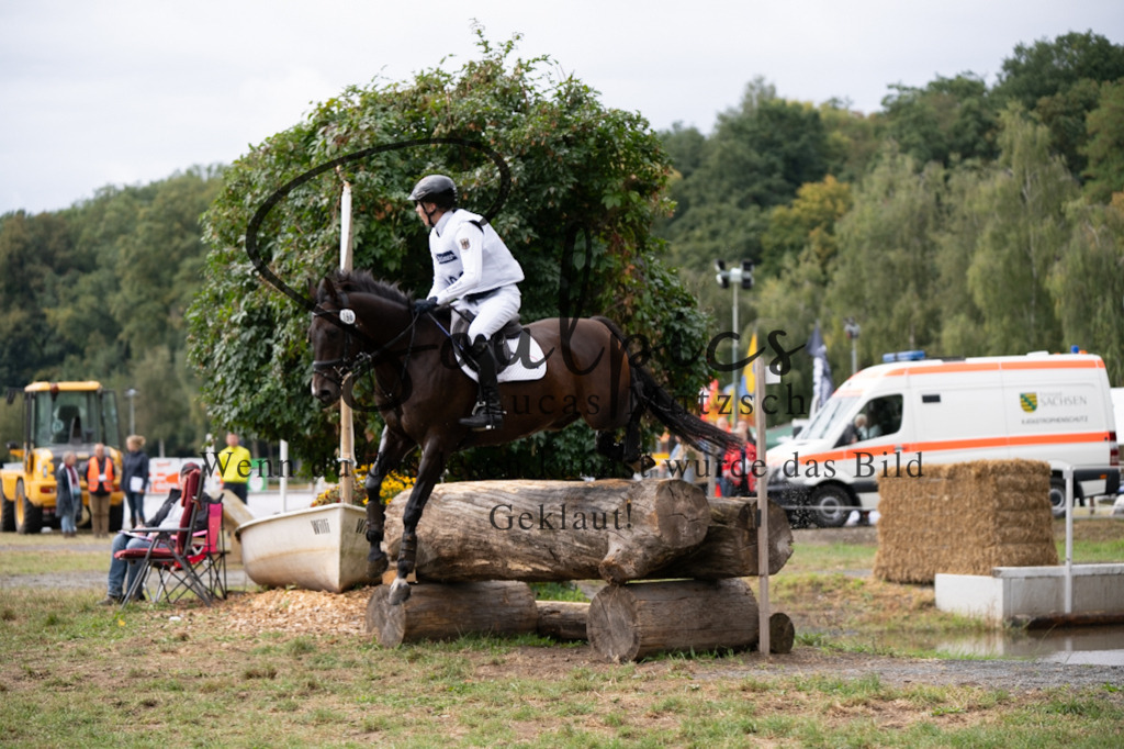 A7V00508 | Pferdefotograf