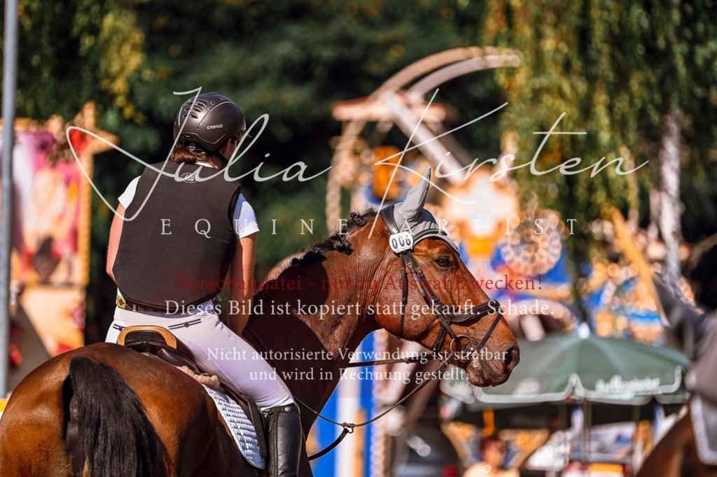 DSC_1177 | Pferde- und Turnierfotografie in Westsachsen. Pferdeportraits, Auftragszeichnungen und intuitive Kunst.