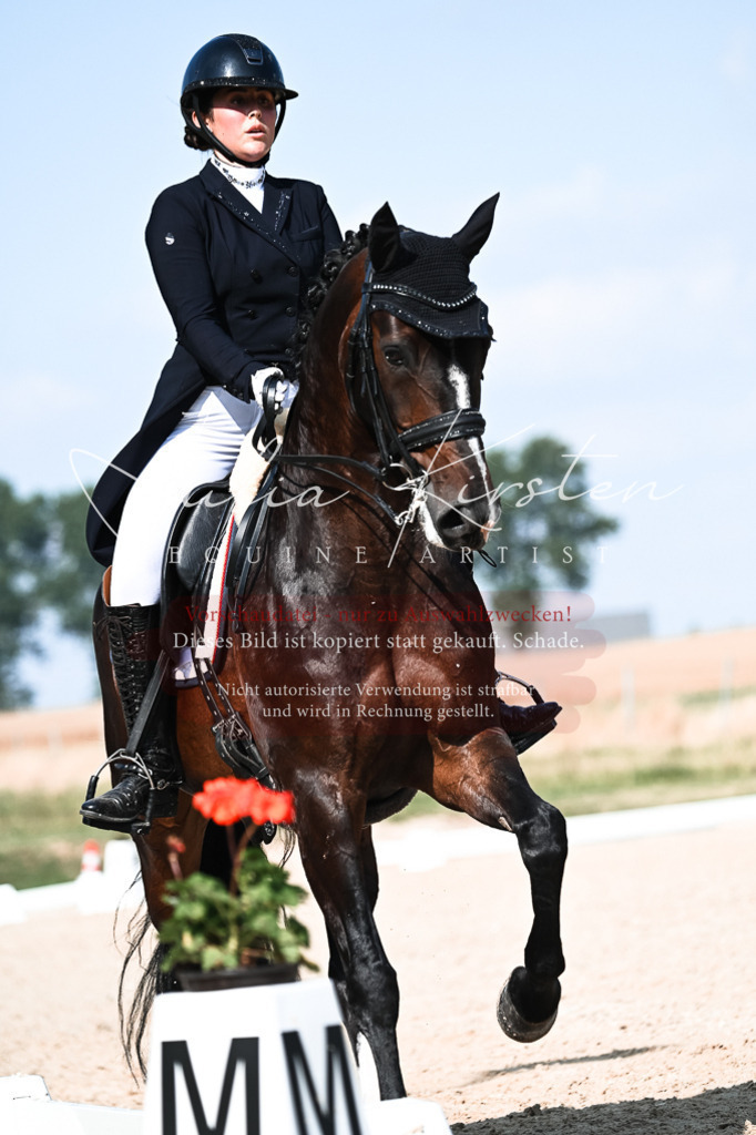 DSC_3399 | Pferde- und Turnierfotografie in Westsachsen. Pferdeportraits, Auftragszeichnungen und intuitive Kunst.