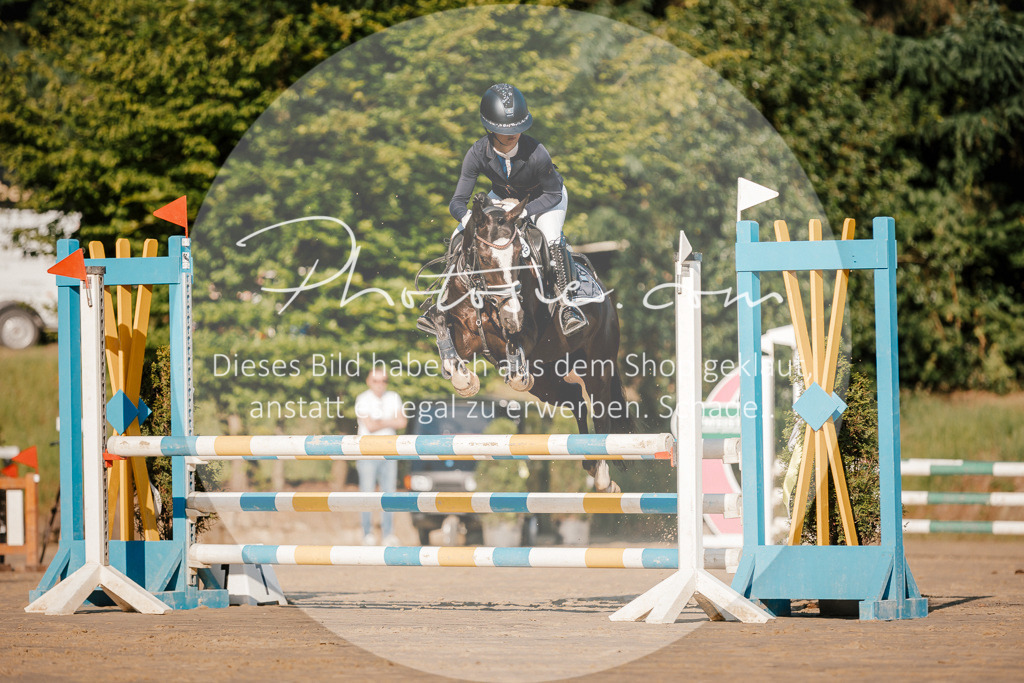 3I6A6125 | Stimmungsvolle Portraits und Reitsportfotografie im Ruhrgebiet und im Münsterland.

Pferdefotografie, Hundefotografie, Tierfotografie, Reportagen, Portraits von Tier und Mensch, Turnierfotografie in Bochum, Recklinghausen, Marl, Haltern am See, Dülmen.. - Realisiert mit Pictrs.com