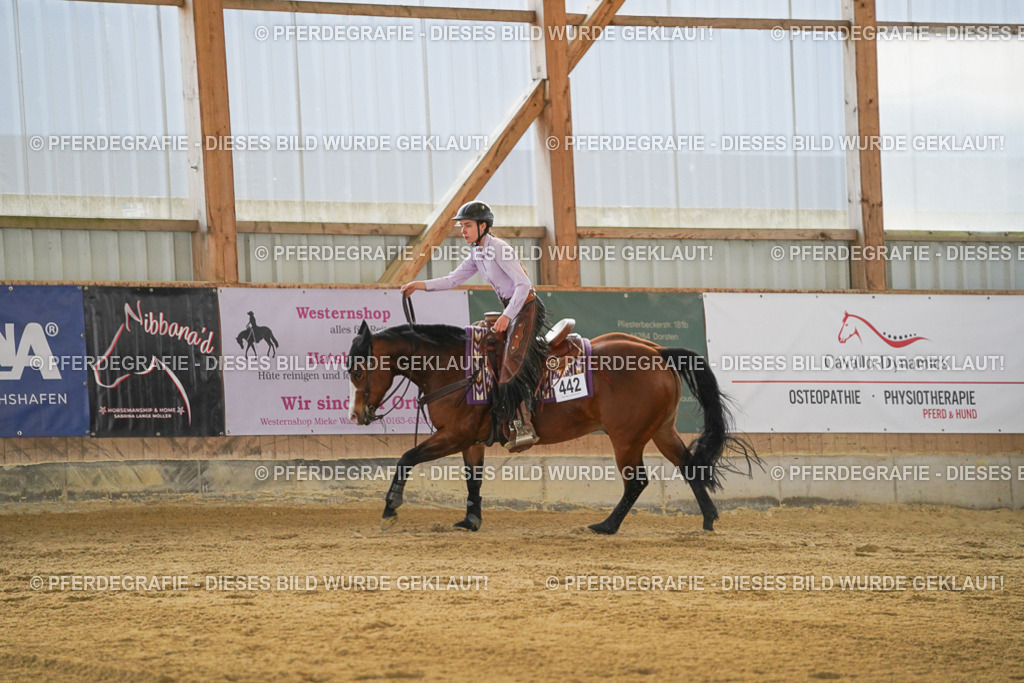 DSC08807 | Pferdegrafie