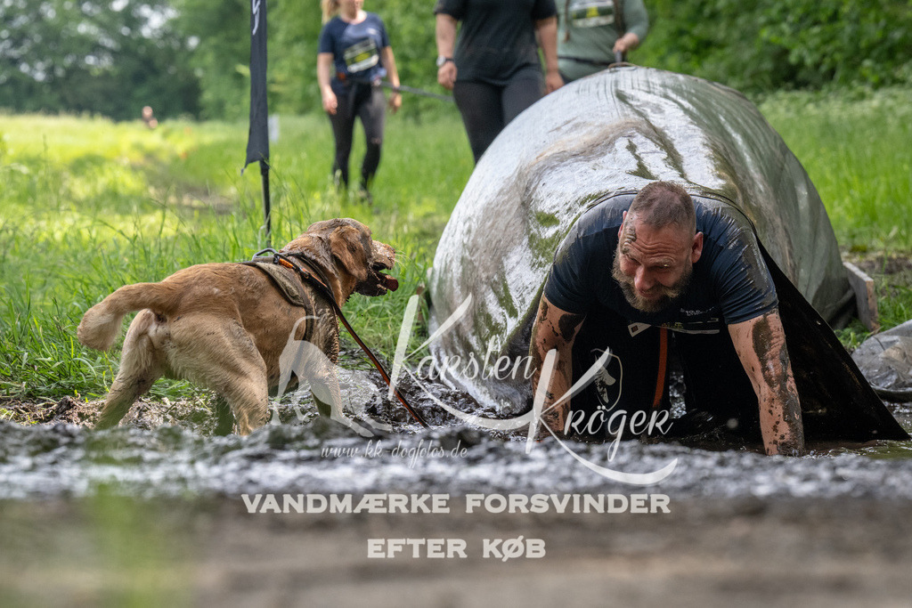 1241_ZZ93044 | kk-dogfotos