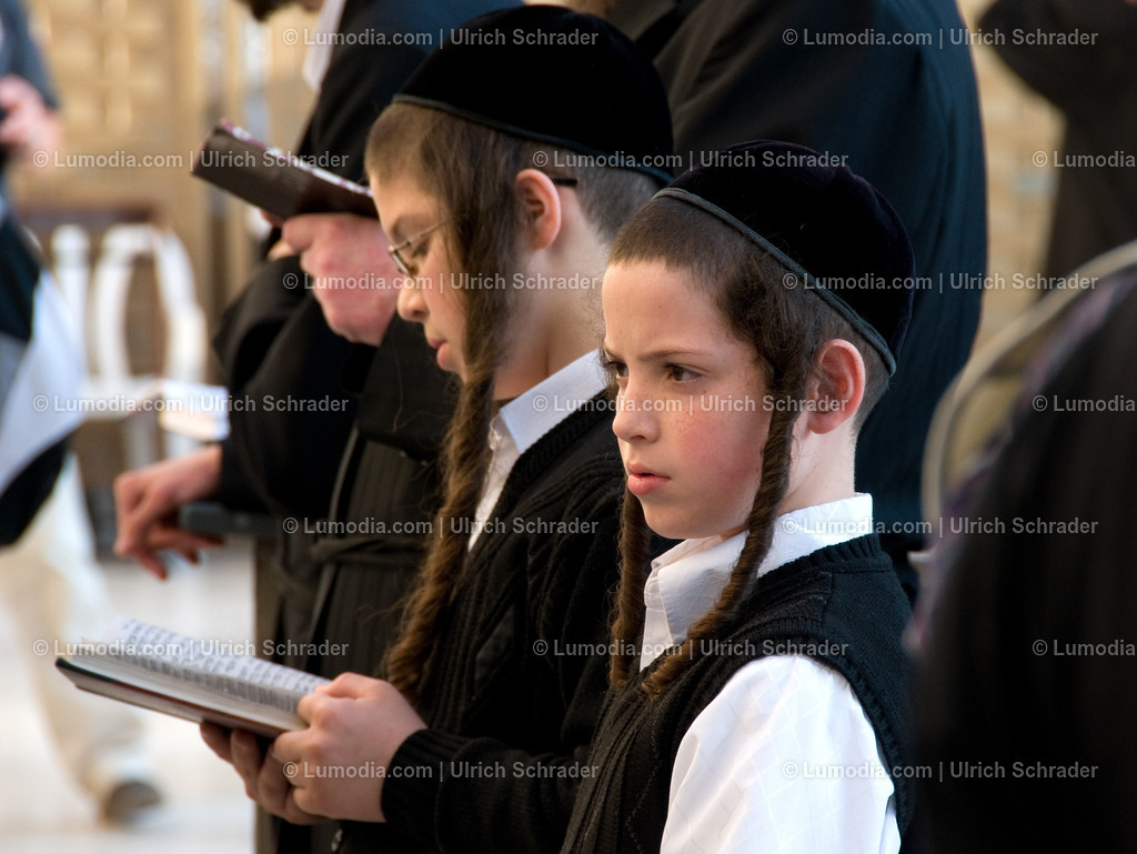 202510-153 | Stockfoto und Bilderpool mit Bildmaterial aus Deutschland, dem Harz, Halberstadt, Quedlinburg, Wernigerode und weltweit. Qualitativ hochwertige und professionelle Fotos anschauen und kaufen. - Realisiert mit Pictrs.com