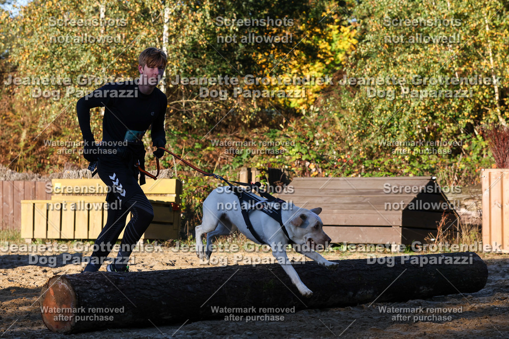 Dog Paparazzi - Strongdog 10-25-981 | Dog Paparazzi Jeanette Grottendiek Fotografie & Videografie - Realisiert mit Pictrs.com