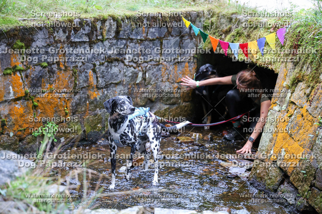 Dog Paparazzi -  TH 26-526 | Dog Paparazzi Jeanette Grottendiek Fotografie & Videografie - Realisiert mit Pictrs.com