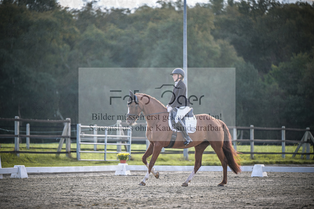 DOS_3646 | Entdecke hochwertige Reitturnierfotos von Foto Oger. Professionell, emotional und authentisch – jetzt Lieblingsmomente im Shop bestellen.Deutschlandweite Turnierfotografie. - Realisiert mit Pictrs.com