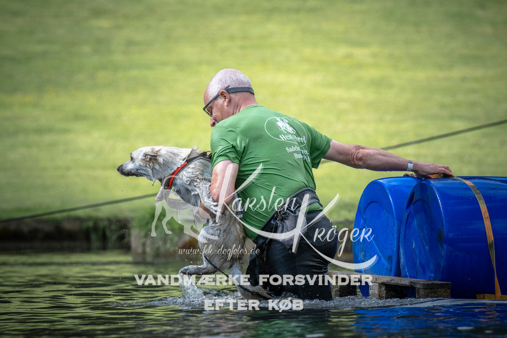0839_ZZ99975 | kk-dogfotos