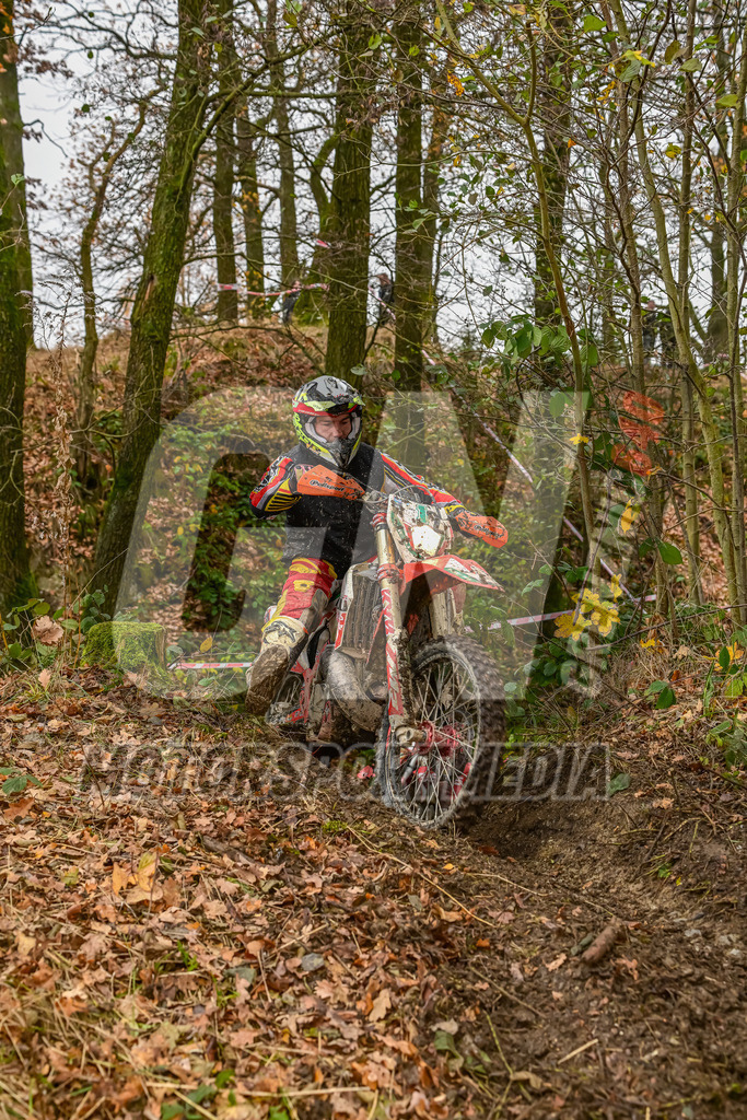 NZ8_4918 | grenznic640