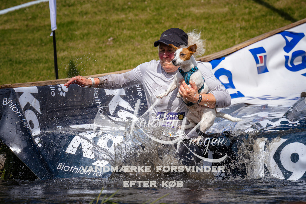 _ZZ950931005 | kk-dogfotos