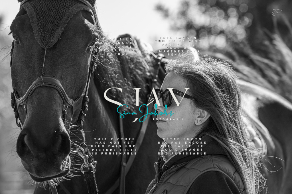 IMG_6405 | s-jay-photography - Realisiert mit Pictrs.com