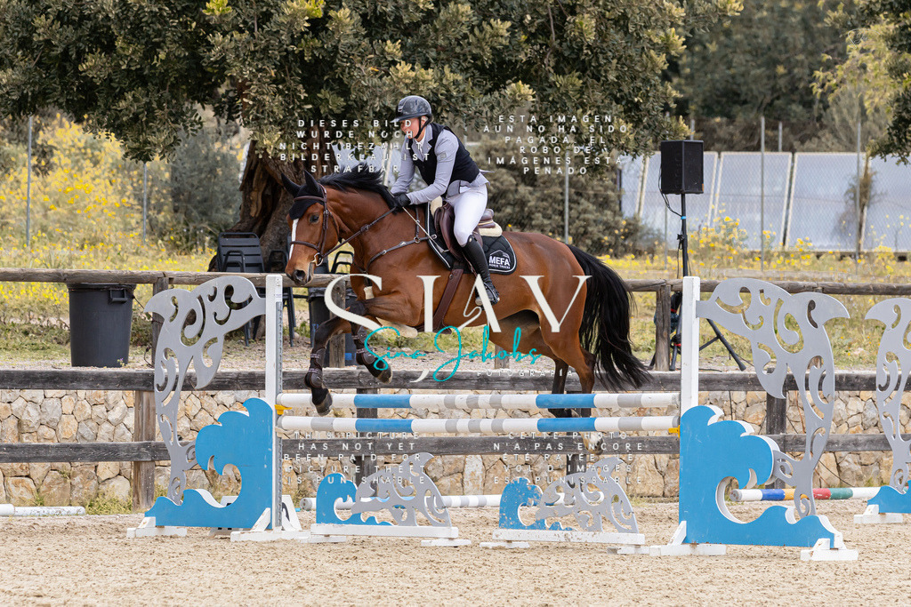 IMG_5013 | s-jay-photography - Realisiert mit Pictrs.com