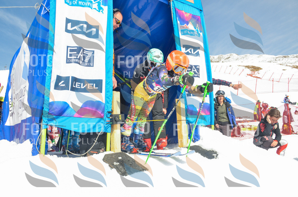 _ELE6424 | holidayphoto