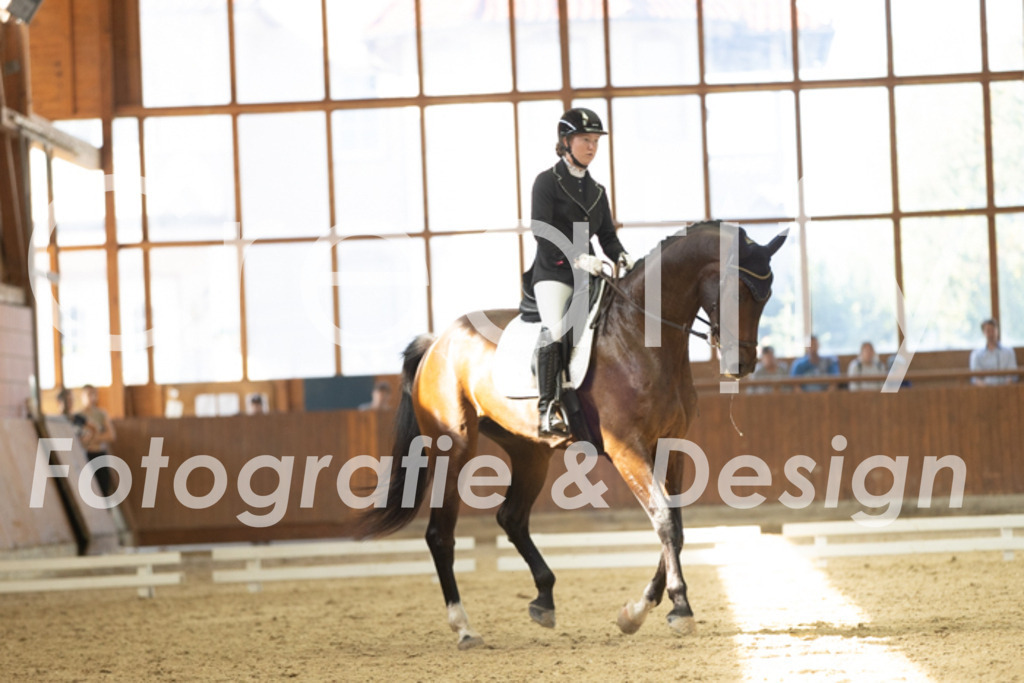 IMG_9448 | Creatify Fotografie