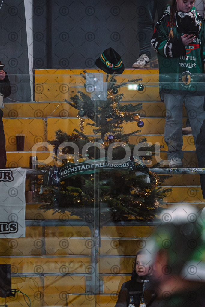 Alligators_vs_Passau_26_12_2025-1 | Höchstadt Alligators Fotogalerie: Eishockey-Action aus Franken. Professionelle Spielfotos, Portraits & Stadionbilder zum Download. Jetzt entdecken! - Realisiert mit Pictrs.com