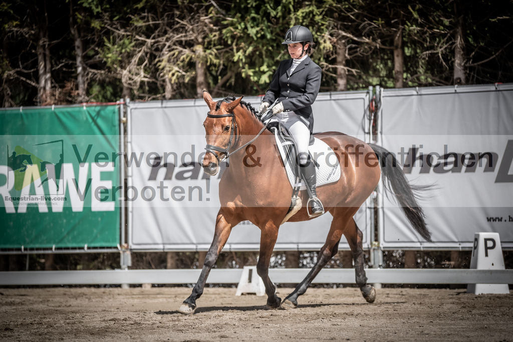 DSC_2390 | equestrian-live-com