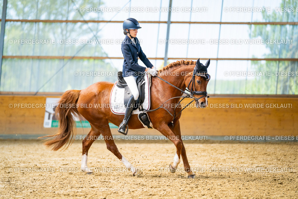 DSC08847 | Pferdegrafie