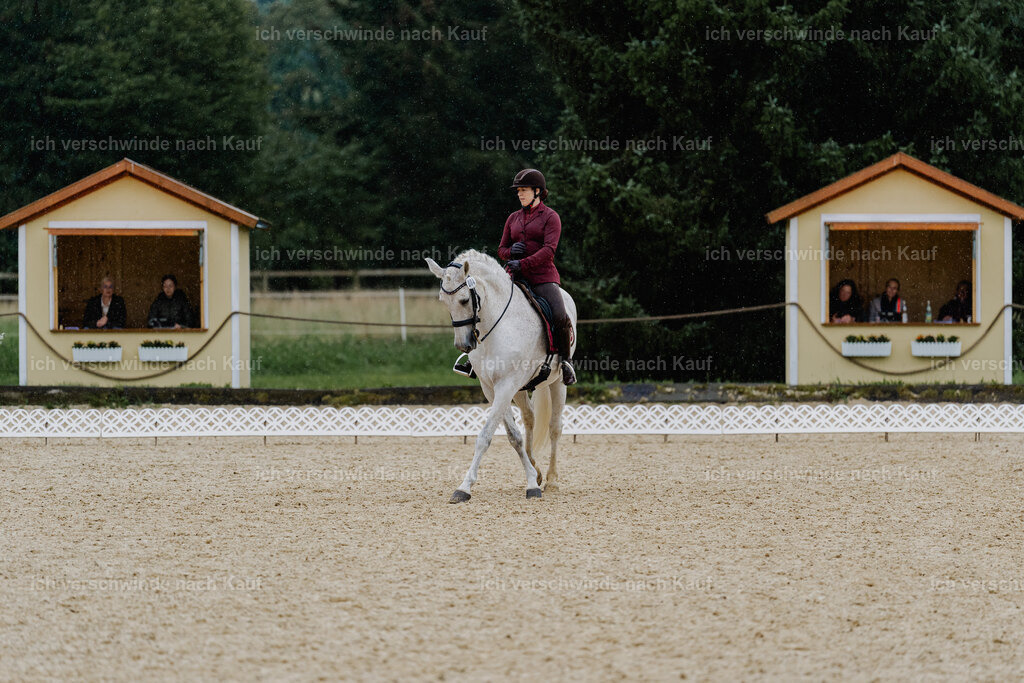 Kelly4_FHC2025-8552 | working equitationturnier fotograf videograf stoibphotography marixx film working equitation deutschland reitsport turnierfotografie eventfotografie equestrian events