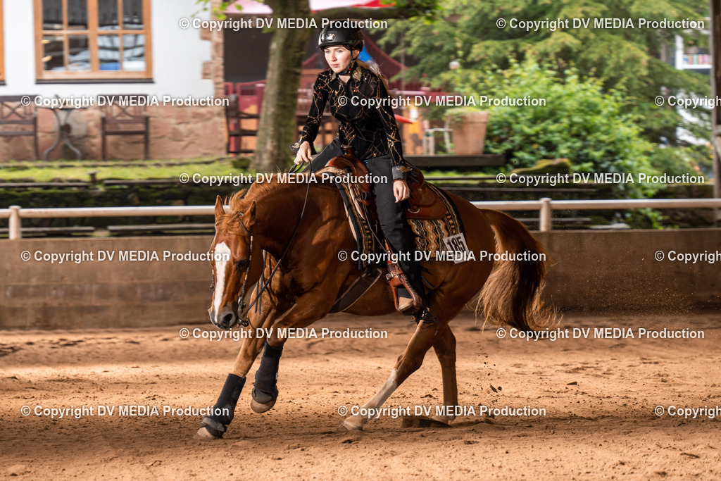 Erbach Tag 2-887 | dv-media-shop - Realisiert mit Pictrs.com