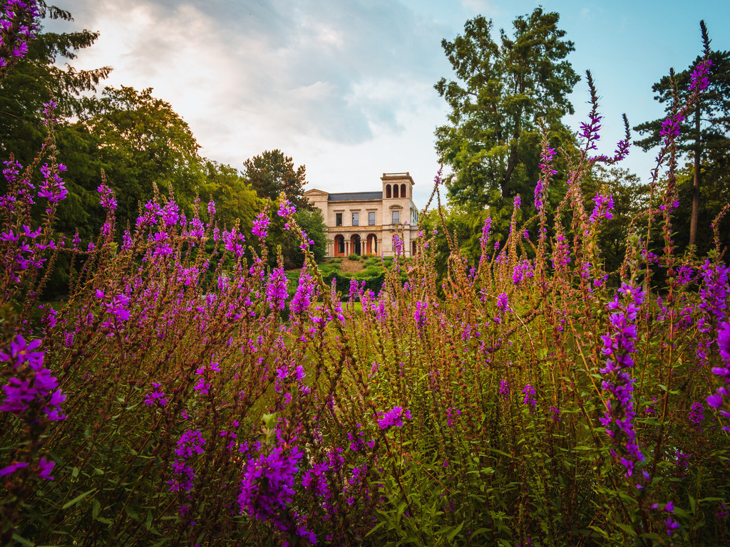 Inselwall | Entdecke exklusive Fotokunst aus Braunschweig: Bildband, Leinwände, Postkarten, Kalender, digitale Downloads & Bildlizenzen. Jetzt im offiziellen Beautiful Braunschweig Shop! - Realisiert mit Pictrs.com