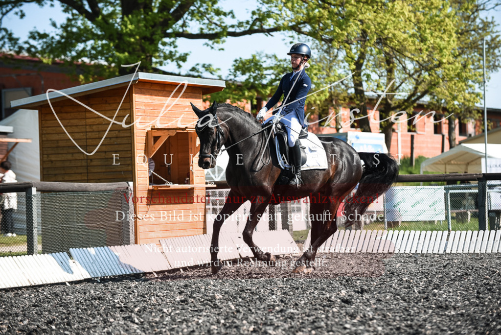 DSC_8580 | Pferde- und Turnierfotografie in Westsachsen. Pferdeportraits, Auftragszeichnungen und intuitive Kunst.