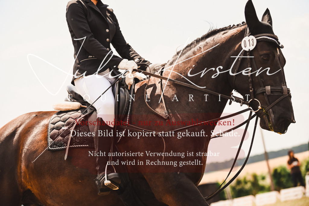 DSC_6222 | Pferde- und Turnierfotografie in Westsachsen. Pferdeportraits, Auftragszeichnungen und intuitive Kunst.