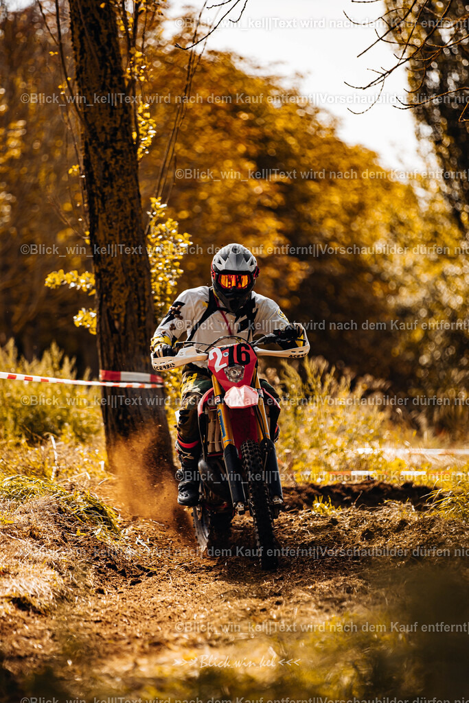 E68A1508 | blick_win_kel