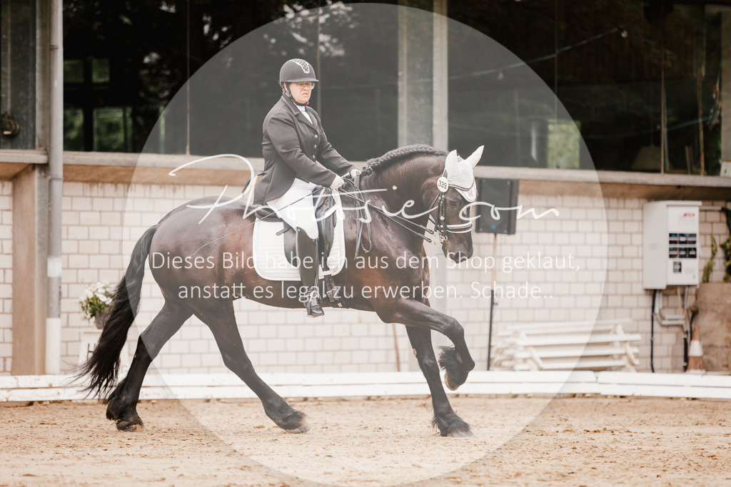 3I6A7767 | Stimmungsvolle Portraits und Reitsportfotografie im Ruhrgebiet und im Münsterland.

Pferdefotografie, Hundefotografie, Tierfotografie, Reportagen, Portraits von Tier und Mensch, Turnierfotografie in Bochum, Recklinghausen, Marl, Haltern am See, Dülmen.. - Realisiert mit Pictrs.com
