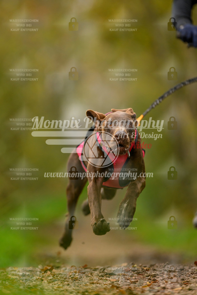 MompixPhotography_20TSB_E6_Bike-41 | PayLife
