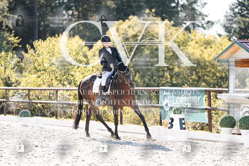 CK906305 | Turnierfotografie Pferdefotografie Trier Rheinland-Pfalz Pferdesport Reitsport Tierfotografie Sportfotografie Pferdevideo Pferdevideografie Equestrianvideography equestrianphotography  - Realisiert mit Pictrs.com