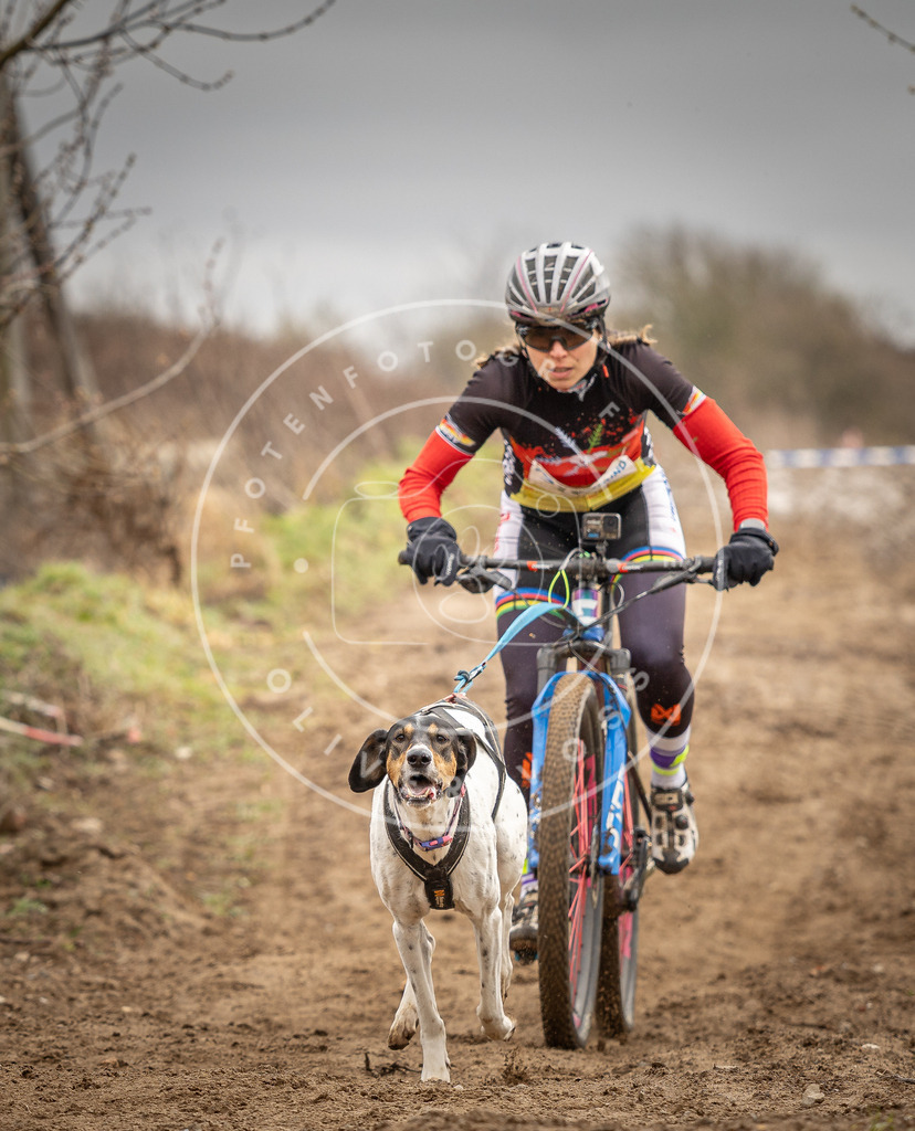 DV3A0649 | Hundefotografie, Tierfotograf, Pfotenfotografie, Fotoshooting Hund, Hunde Portrait, Hundesport, Hundeportraits, Heideshooting, Hunde, Sportfotograf, Hundefotograf, Turnierhundsport, THS,  - Realisiert mit Pictrs.com