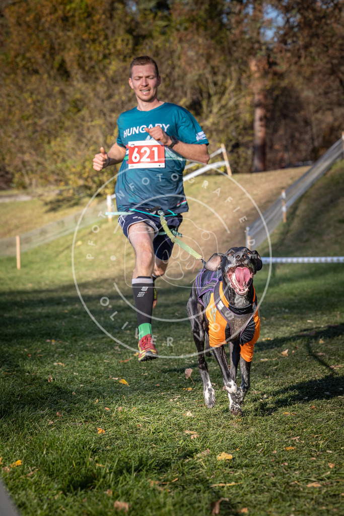 CaniXpix_0L8A8793 | Hundefotografie, Tierfotograf, Pfotenfotografie, Fotoshooting Hund, Hunde Portrait, Hundesport, Hundeportraits, Heideshooting, Hunde, Sportfotograf, Hundefotograf, Turnierhundsport, THS,  - Realisiert mit Pictrs.com