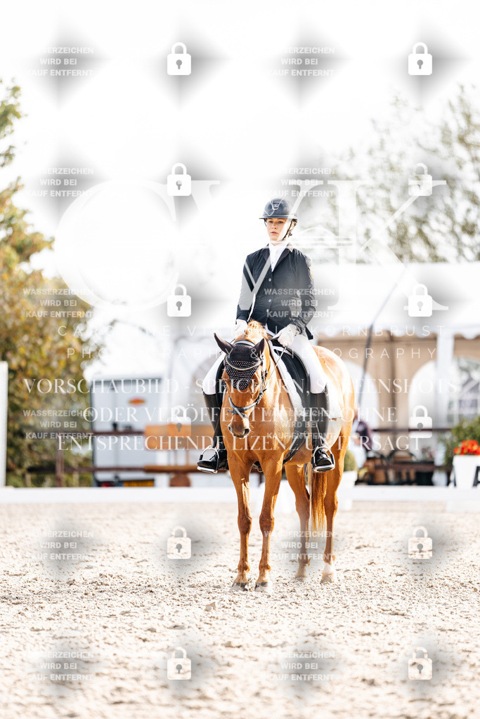 CK901037 | Turnierfotografie Pferdefotografie Trier Rheinland-Pfalz Pferdesport Reitsport Tierfotografie Sportfotografie Pferdevideo Pferdevideografie Equestrianvideography equestrianphotography  - Realisiert mit Pictrs.com