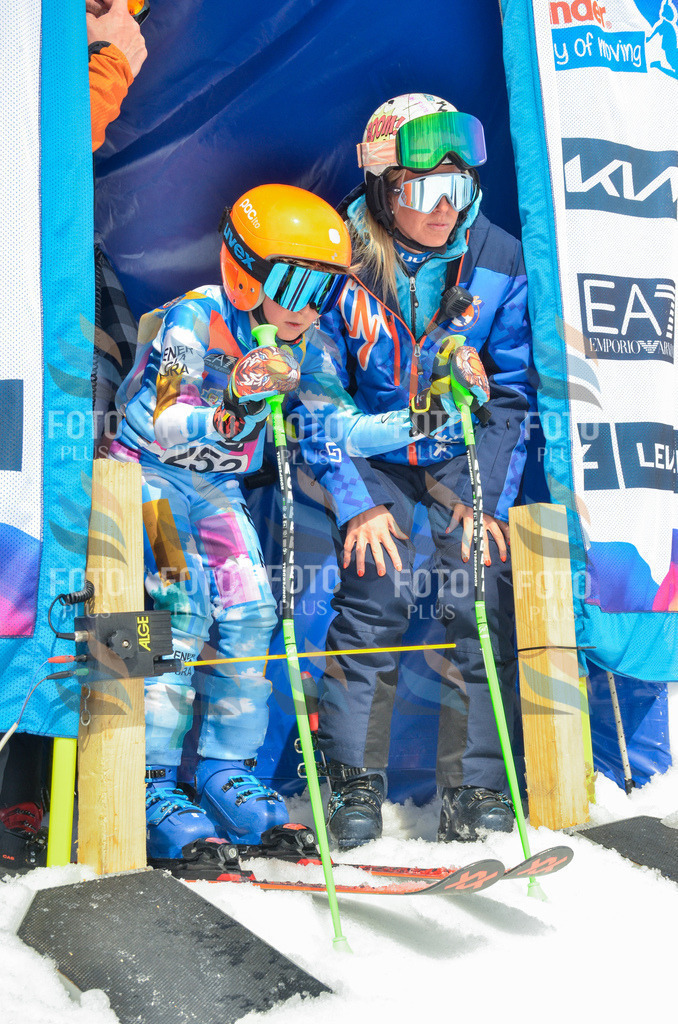 _ELE7563 | holidayphoto