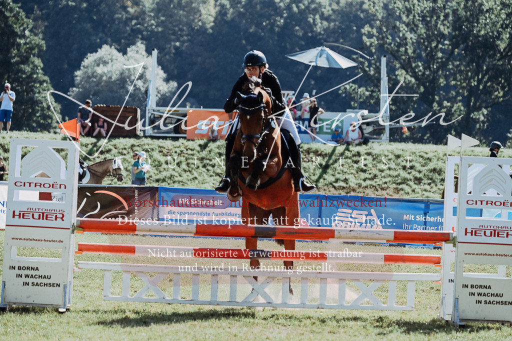 DSC_5786 | Pferde- und Turnierfotografie in Westsachsen. Pferdeportraits, Auftragszeichnungen und intuitive Kunst.