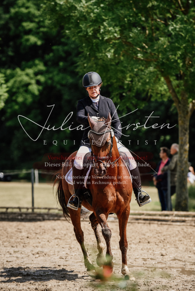 DSC_1282 | Pferde- und Turnierfotografie in Westsachsen. Pferdeportraits, Auftragszeichnungen und intuitive Kunst.