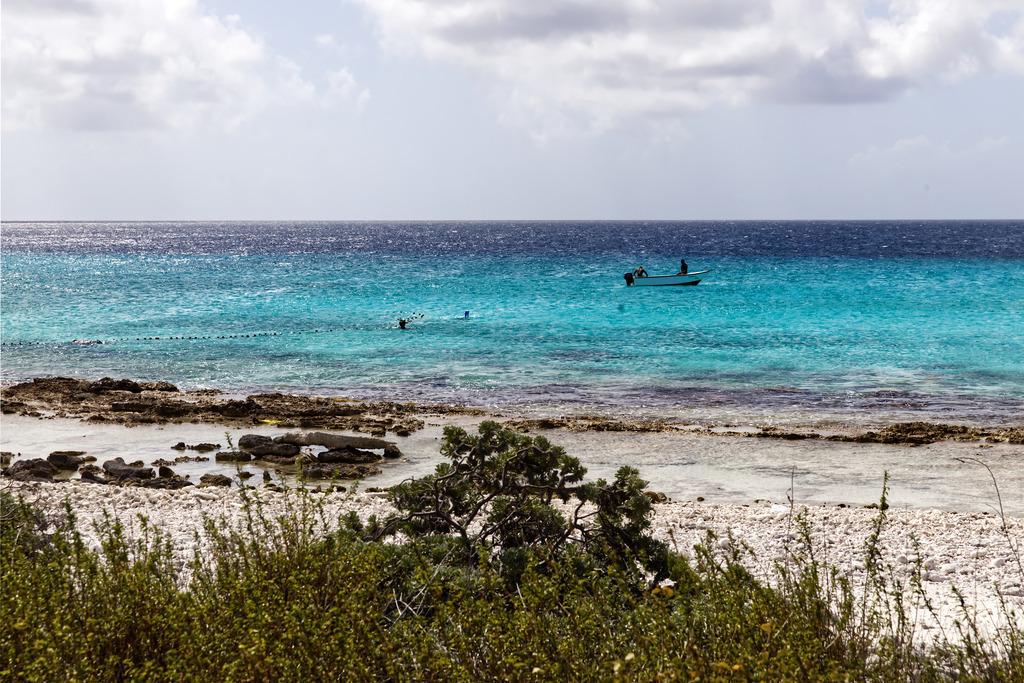 1H5A0126 | ansichtssache