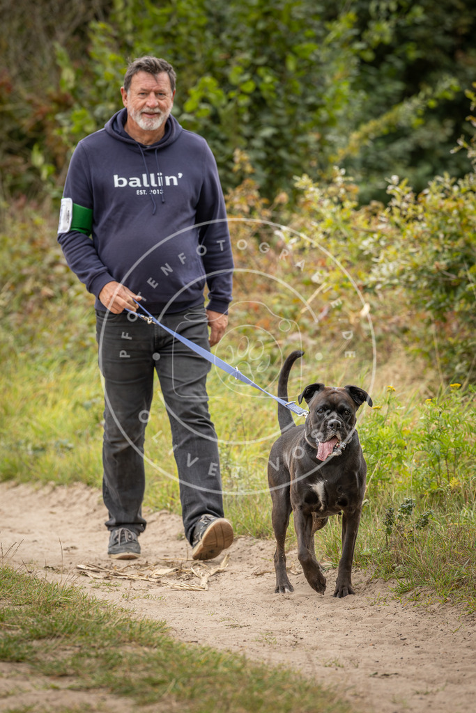 Pfotenfotografie_DV3A7965 | Hundefotografie, Tierfotograf, Pfotenfotografie, Fotoshooting Hund, Hunde Portrait, Hundesport, Hundeportraits, Heideshooting, Hunde, Sportfotograf, Hundefotograf, Turnierhundsport, THS,  - Realisiert mit Pictrs.com