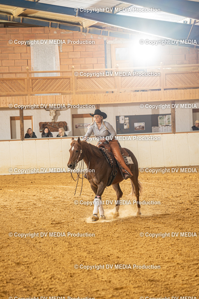 MIT00715 | dv-media-shop - Realisiert mit Pictrs.com